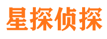 大田资产调查